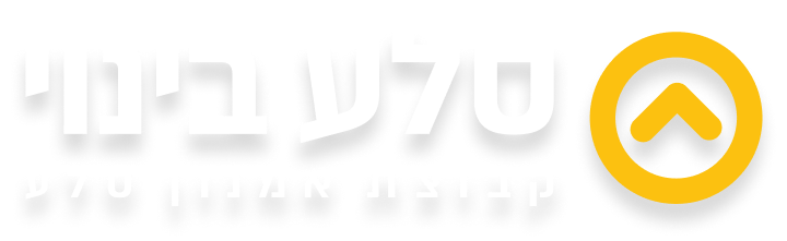 סלע בינוי
